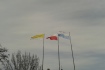 flagi